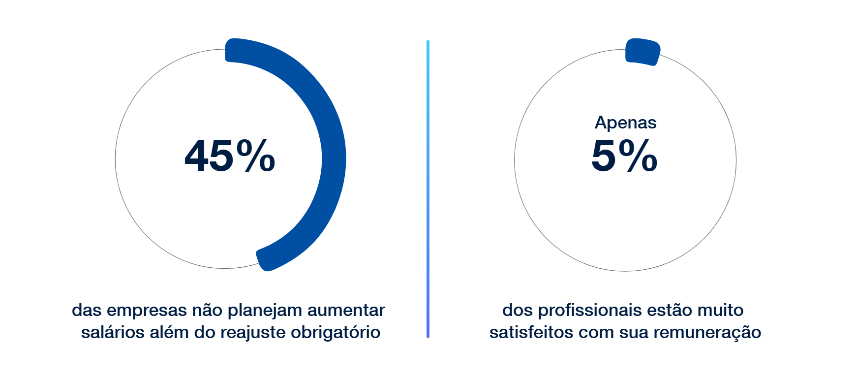 Dois gráficos circulares mostrando dados sobre salário