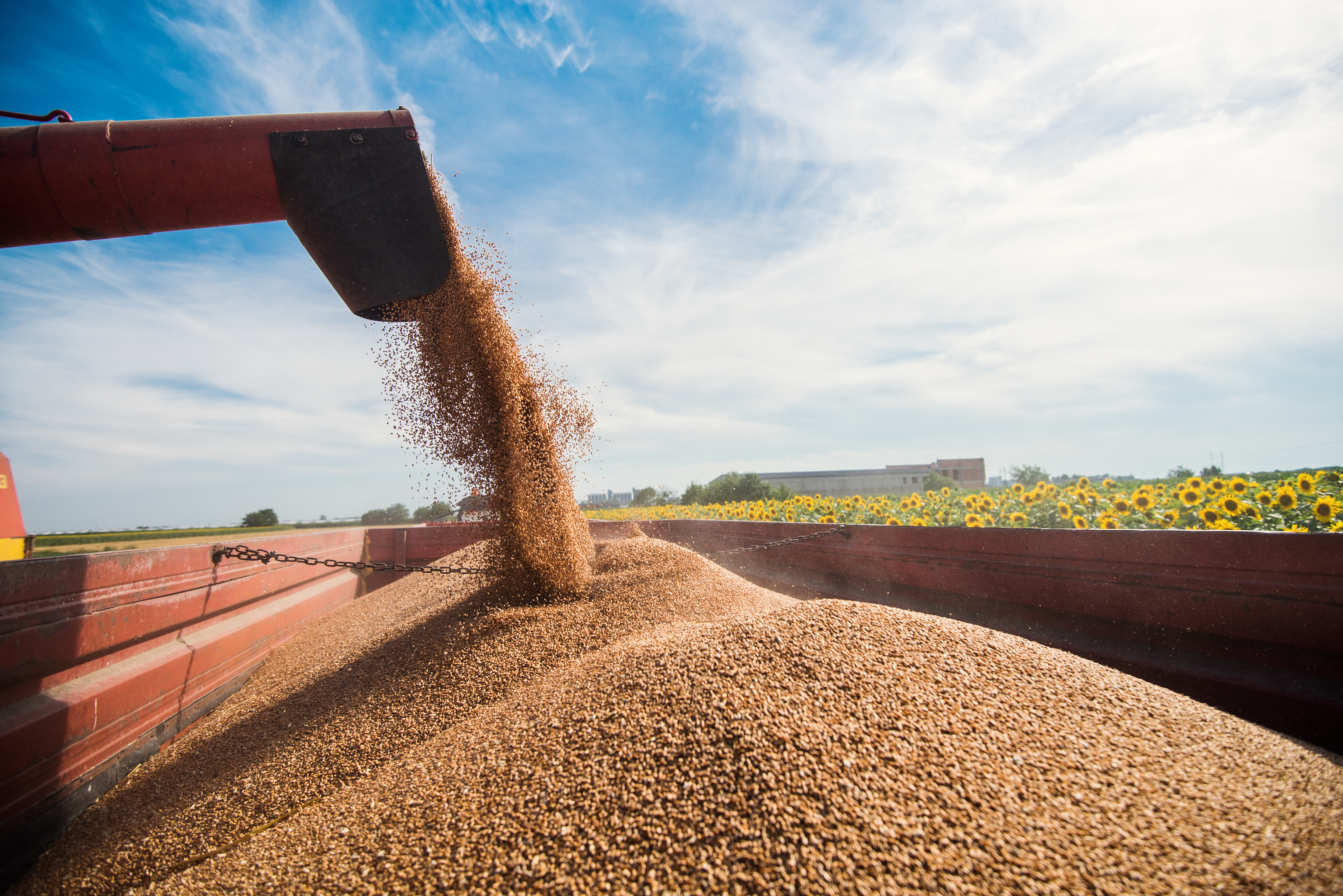 задача для перевозки 750 тонн зерна. один грузовик вывозит 840 т зерна за 60 часов. задача по математике 5 класс виленкин номер 552. перевозка зерна. задачи на тему прямая и обратная пропорциональность.