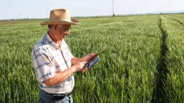 Fazendeiro usando tablet em um campo verde.