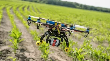 drone sobrevoando plantação