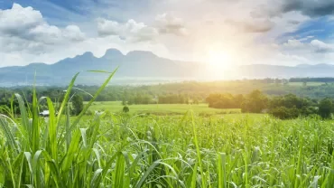 Campo verde com montanhas ao fundo durante o pôr do sol.
