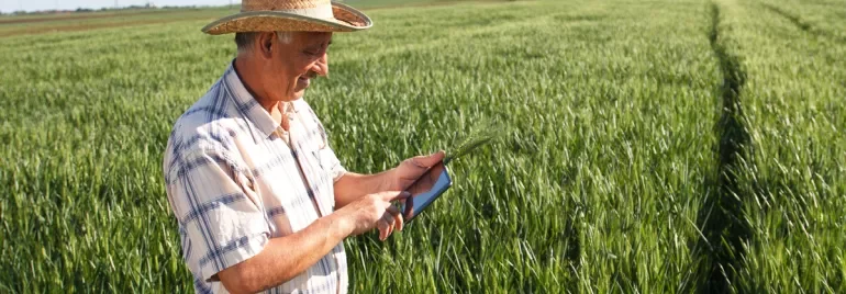 Fazendeiro usando tablet em um campo verde.
