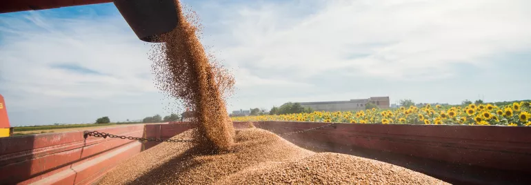 Perspectivas para gestão do agronegócio