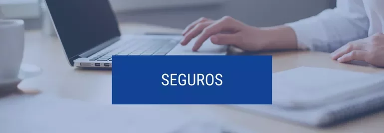 Pessoa digitando em laptop com a palavra 'seguros' em destaque.