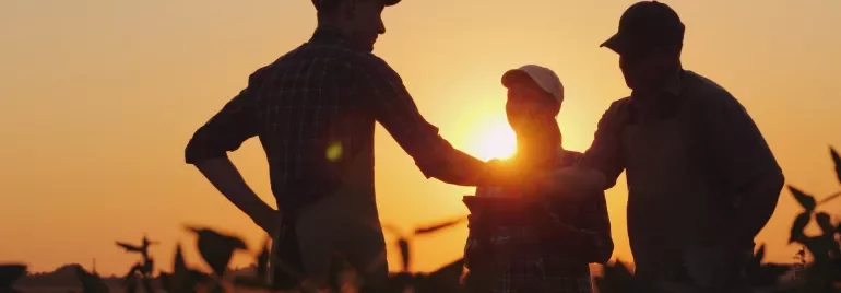 Três agricultores conversam ao pôr do sol em um campo.